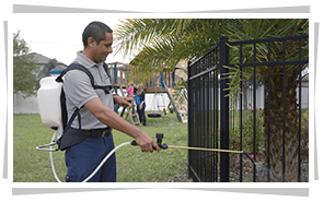 Pest Control Service