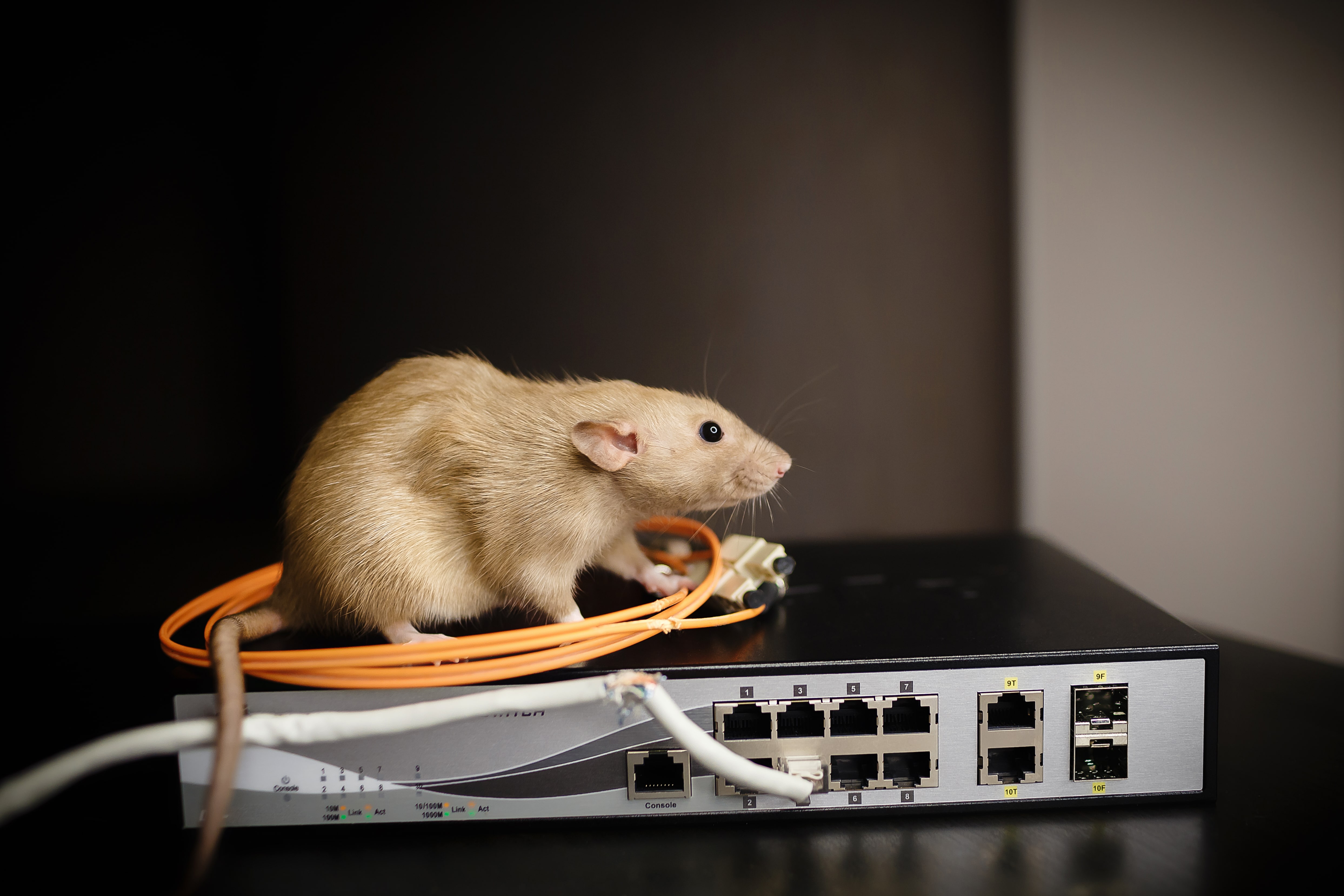 Information and Communication